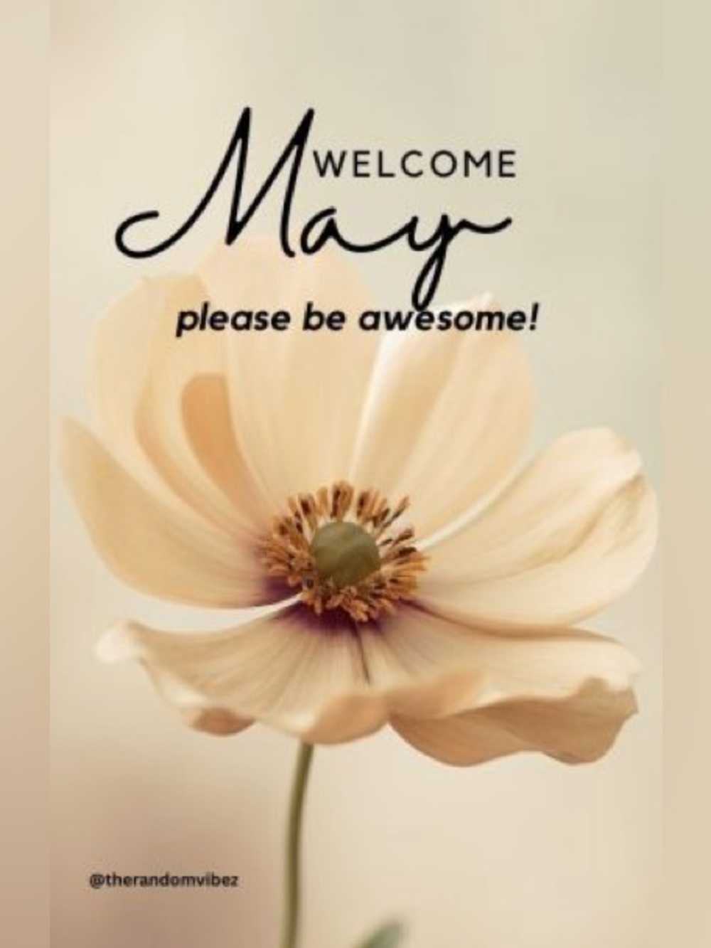 Wishing everyone a phenomenal month of huge sales & fun - Picture 7 of 16